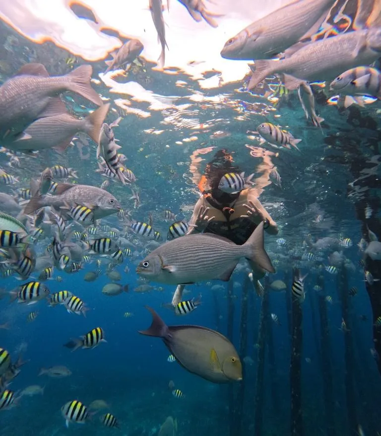 Paket Tour Raja Ampat with Guest From Thailand