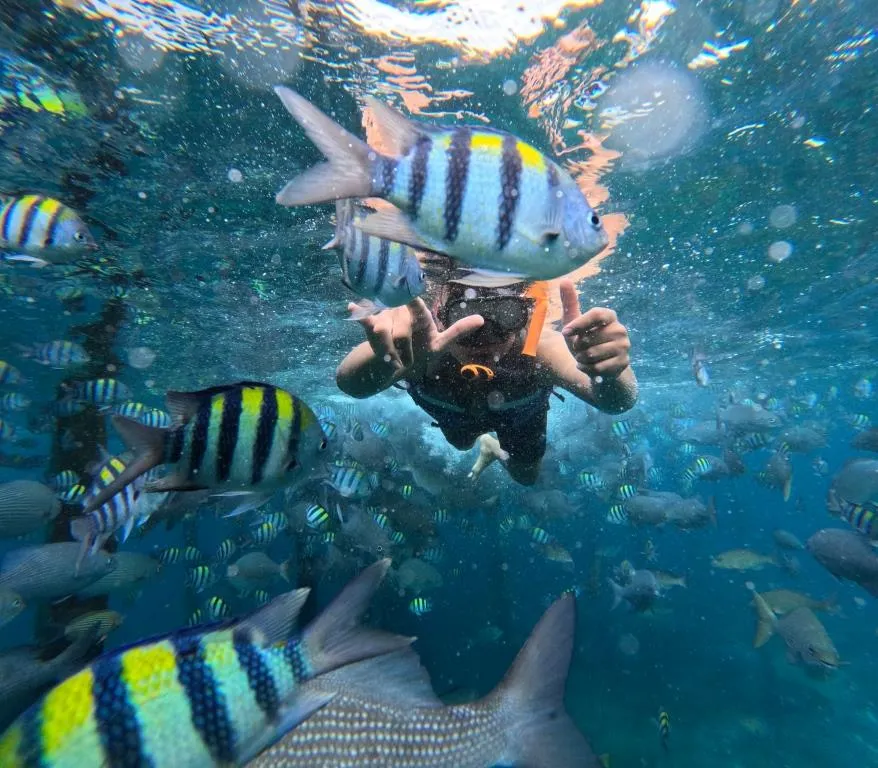 Paket Wisata 5 Hari 4 Malam Raja Ampat Pilihan TERBAIK