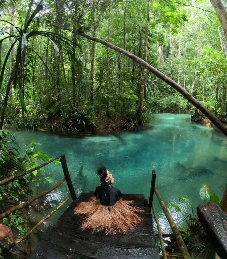 Paket tour 3 hari 2 malam Raja Ampat snorkeling yang fantastis. Nikmati keindahan terumbu karang. Paket terjangkau dengan pemandangan menakjubkan.