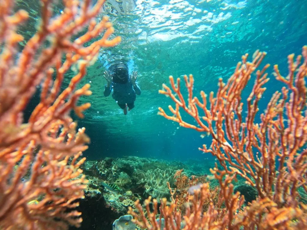 Paket tour 3 hari 2 malam Raja Ampat trip memukau. Pemandangan menakjubkan, pengalaman tak terlupakan. Dapatkan paket spesial.