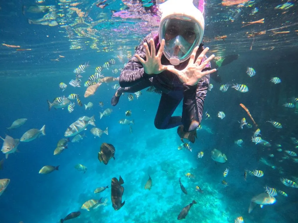 Paket Tour 7 Hari 6 Malam Raja Ampat Resort Premium