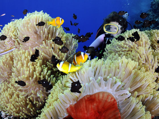 Paket Tour Biak Papua 6 Hari 5 Malam