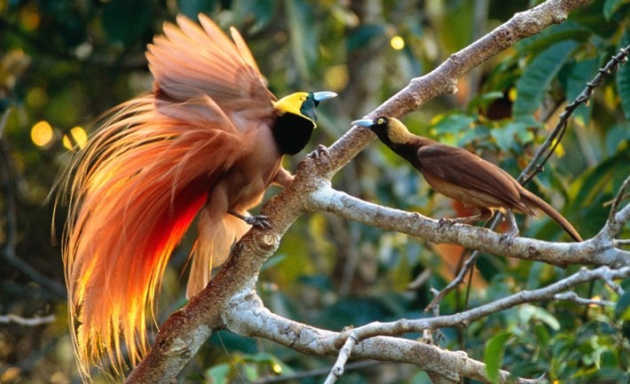 Paket Tour Malagufuk 2 Hari 1 Malam