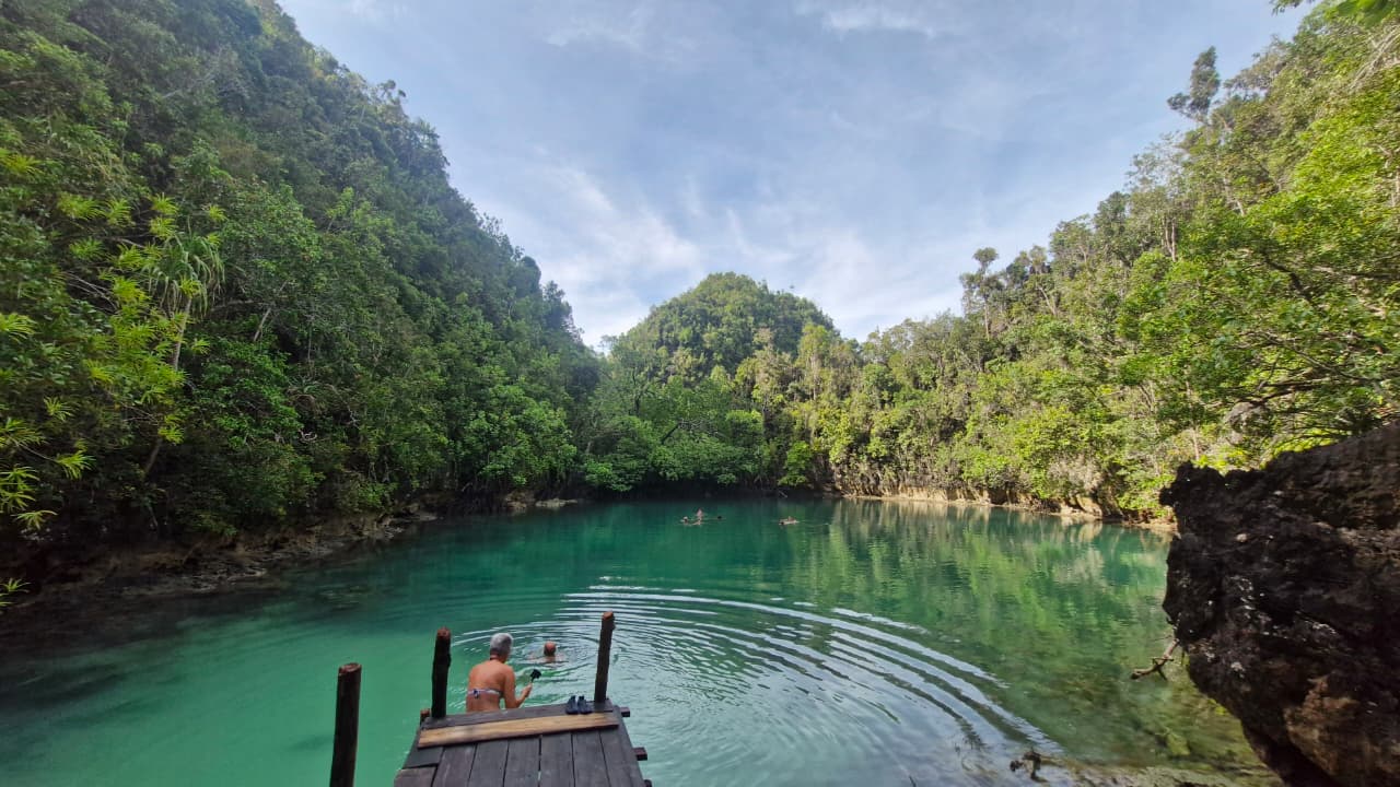 Jelly Wish Waba Misool Raja Ampat Papua
